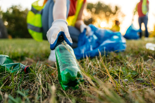 Yard Cleanup Services in Round Lake Beach, IL